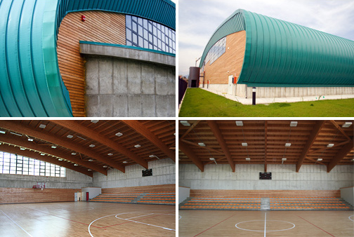 palazzettosport